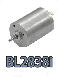 BL2838