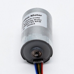 BL2847, BL2847i 28mm small bldc inner rotor brushless dc motor